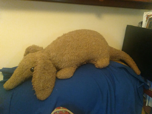 stuffed-animal-company-names-aardvark-clark-1-5e16fd0953412__700-66b5d42127082.jpg