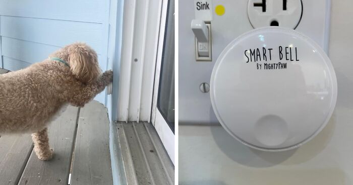 Obsessed with Your Pet? You’ll Go Nuts Over These 19 Quirky Products