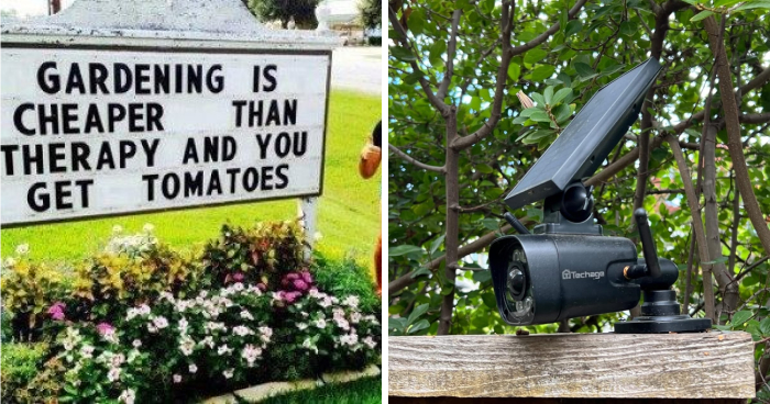 20 Unconventional Finds For Your Garden To Make Your Neighbors Jealous