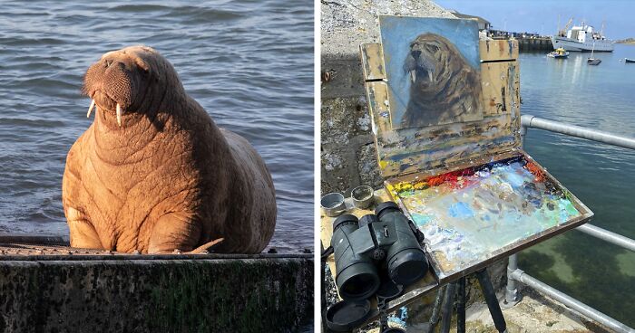 Walrus Attack Raft Netizens Can’t Get Enough Of This Walrus Who Was Given His Own Raft So ...