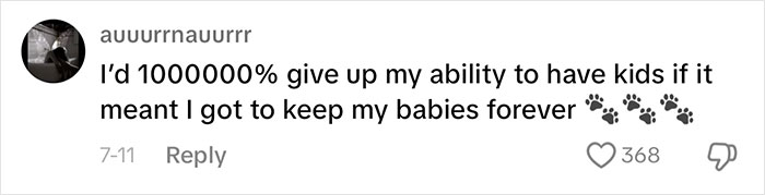 Cat Vs. Kids: Woman Seeks Opinions After Horrifying Her Husband With Confession Cat Vs. Kids: Woman Seeks Opinions After Horrifying Her Husband With Confession