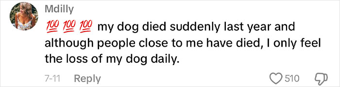 Cat Vs. Kids: Woman Seeks Opinions After Horrifying Her Husband With Confession Cat Vs. Kids: Woman Seeks Opinions After Horrifying Her Husband With Confession