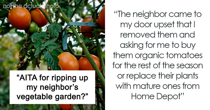 Woman Rips Out Neighbors’ Veggies From Her Own Backyard, They Demand Compensation
