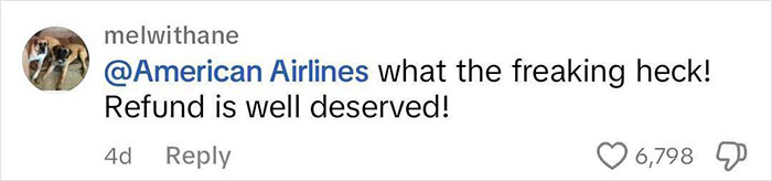 Viral TikTok Exposes American Airlines For Mistakenly Banning Lesbian Passenger Viral TikTok Exposes American Airlines For Mistakenly Banning Lesbian Passenger