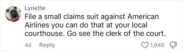 Viral TikTok Exposes American Airlines For Mistakenly Banning Lesbian Passenger Viral TikTok Exposes American Airlines For Mistakenly Banning Lesbian Passenger