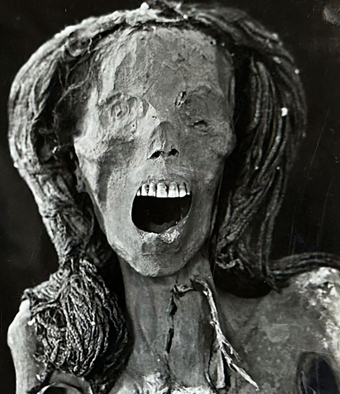 “So Horrible”: Virtual Autopsy Reveals Ancient Egyptian Mummy’s Heart-Wrenching Secret “So Horrible”: Virtual Autopsy Reveals Ancient Egyptian Mummy’s Heart-Wrenching Secret