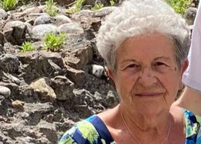 89-Year-Old Grandma Lost For Four Days In Alps Survives After Befriending Wild Fox 89-Year-Old Grandma Lost For Four Days In Alps Survives After Befriending Wild Fox