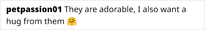 A Story Of Two Fluffy Friends Who Can’t Stop Hugging Each Other Is Melting People’s Hearts A Story Of Two Fluffy Friends Who Can’t Stop Hugging Each Other Is Melting People’s Hearts