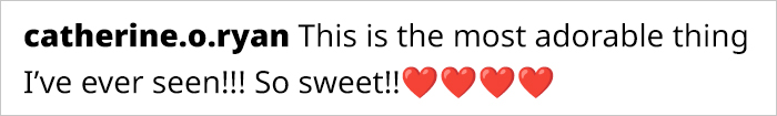 A Story Of Two Fluffy Friends Who Can’t Stop Hugging Each Other Is Melting People’s Hearts A Story Of Two Fluffy Friends Who Can’t Stop Hugging Each Other Is Melting People’s Hearts