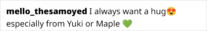 A Story Of Two Fluffy Friends Who Can’t Stop Hugging Each Other Is Melting People’s Hearts A Story Of Two Fluffy Friends Who Can’t Stop Hugging Each Other Is Melting People’s Hearts