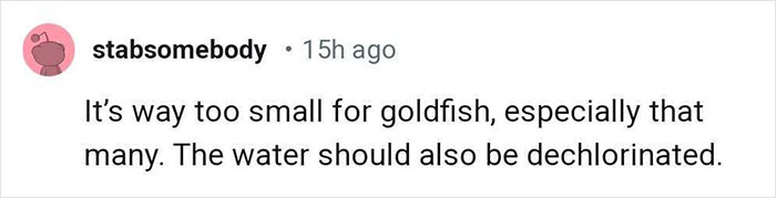 Aquarium With Real Fish Created Around Fire Hydrant "Puddle" Draws Criticism For Its Cruelty Aquarium With Real Fish Created Around Fire Hydrant "Puddle" Draws Criticism For Its Cruelty