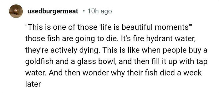 Aquarium With Real Fish Created Around Fire Hydrant "Puddle" Draws Criticism For Its Cruelty Aquarium With Real Fish Created Around Fire Hydrant "Puddle" Draws Criticism For Its Cruelty