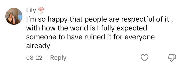 Aquarium With Real Fish Created Around Fire Hydrant "Puddle" Draws Criticism For Its Cruelty Aquarium With Real Fish Created Around Fire Hydrant "Puddle" Draws Criticism For Its Cruelty