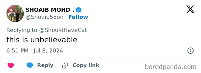 Magical Cat Has Condition That Makes His Fur Look Like A Galaxy Of Stars, People Are Obsessed Magical Cat Has Condition That Makes His Fur Look Like A Galaxy Of Stars, People Are Obsessed