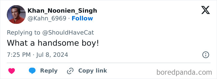 Magical Cat Has Condition That Makes His Fur Look Like A Galaxy Of Stars, People Are Obsessed Magical Cat Has Condition That Makes His Fur Look Like A Galaxy Of Stars, People Are Obsessed