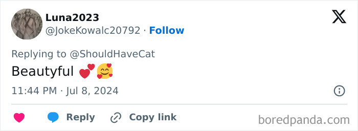 Magical Cat Has Condition That Makes His Fur Look Like A Galaxy Of Stars, People Are Obsessed Magical Cat Has Condition That Makes His Fur Look Like A Galaxy Of Stars, People Are Obsessed