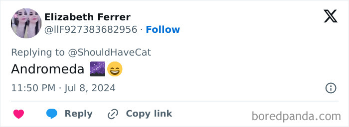 Magical Cat Has Condition That Makes His Fur Look Like A Galaxy Of Stars, People Are Obsessed Magical Cat Has Condition That Makes His Fur Look Like A Galaxy Of Stars, People Are Obsessed