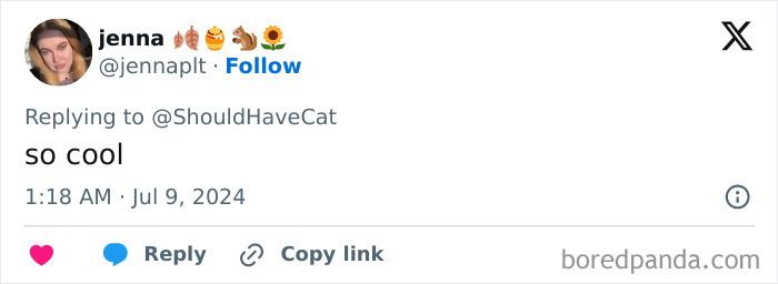 Magical Cat Has Condition That Makes His Fur Look Like A Galaxy Of Stars, People Are Obsessed Magical Cat Has Condition That Makes His Fur Look Like A Galaxy Of Stars, People Are Obsessed