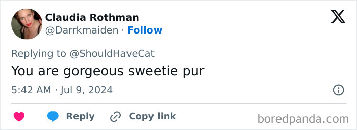 Magical Cat Has Condition That Makes His Fur Look Like A Galaxy Of Stars, People Are Obsessed Magical Cat Has Condition That Makes His Fur Look Like A Galaxy Of Stars, People Are Obsessed