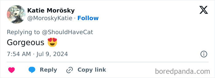 Magical Cat Has Condition That Makes His Fur Look Like A Galaxy Of Stars, People Are Obsessed Magical Cat Has Condition That Makes His Fur Look Like A Galaxy Of Stars, People Are Obsessed