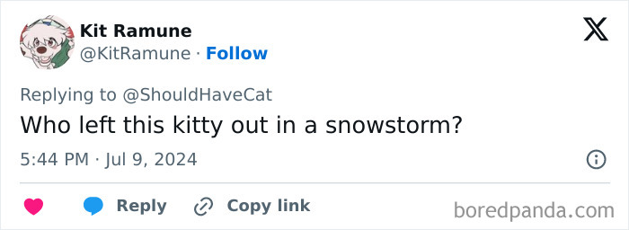 Magical Cat Has Condition That Makes His Fur Look Like A Galaxy Of Stars, People Are Obsessed Magical Cat Has Condition That Makes His Fur Look Like A Galaxy Of Stars, People Are Obsessed