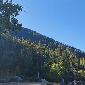 dragondragon_1 avatar