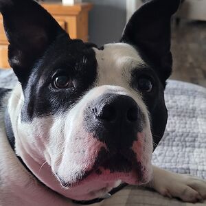 bethmcgovern2014 avatar