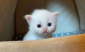 30 Motivational Memes To Power You Through Anything