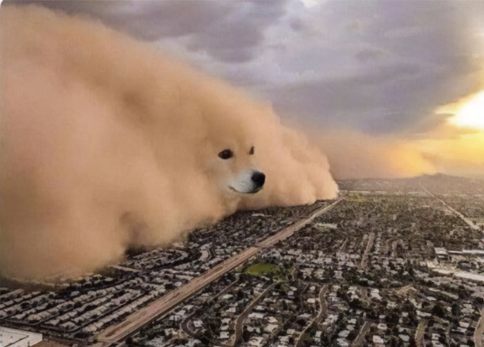 A surreal meme image showing a massive sandstorm approaching a city, but the storm has the face of a Shiba Inu dog seamlessly blended into the clouds of dust. The dog appears calm and stoic, creating a humorous contrast between the impending chaos and the peaceful expression of the dog. A surreal meme image showing a massive sandstorm approaching a city, but the storm has the face of a Shiba Inu dog seamlessly blended into the clouds of dust. The dog appears calm and stoic, creating a humorous contrast between the impending chaos and the peaceful expression of the dog.