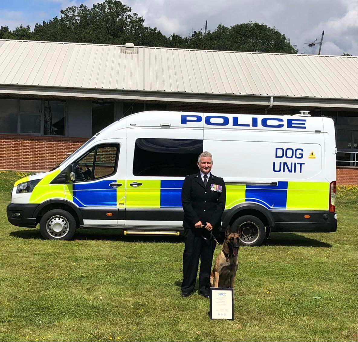 Stray Dog Becomes Employed At A Gas Station After Chasing Off Robbers Stray Dog Becomes Employed At A Gas Station After Chasing Off Robbers