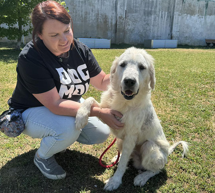Terribly Neglected Dog Never Loses Hope, Gets Rescued, And Is Given The Life He Always Deserved Terribly Neglected Dog Never Loses Hope, Gets Rescued, And Is Given The Life He Always Deserved