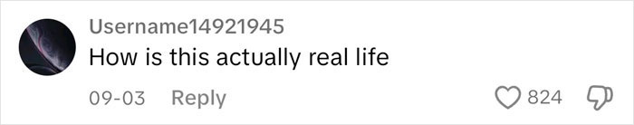 Elon Musk Shares An “Interesting Observation” About Women, Gets Savage Backlash For It Elon Musk Shares An “Interesting Observation” About Women, Gets Savage Backlash For It