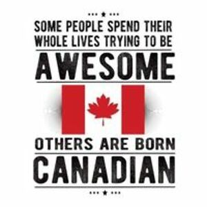 darya_kowalski avatar