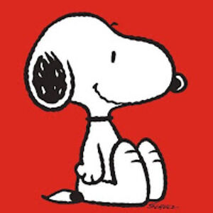 amyrammelsberg avatar