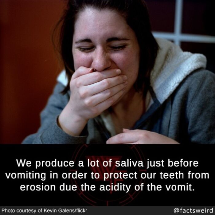 Woman covering mouth in amusement with fun facts about saliva protecting teeth before vomiting, a fascinating fun fact image