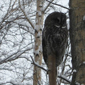 creekhousecache avatar