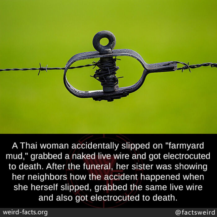 Close-up of barbed wire wrapped tightly around a metal tensioner with blurred green background, illustrating fun facts.