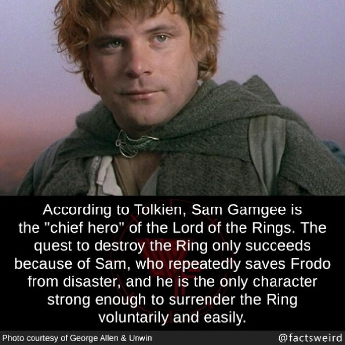 Image showing a fun fact about Sam Gamgee as the chief hero in Lord of the Rings from fascinating fun facts.