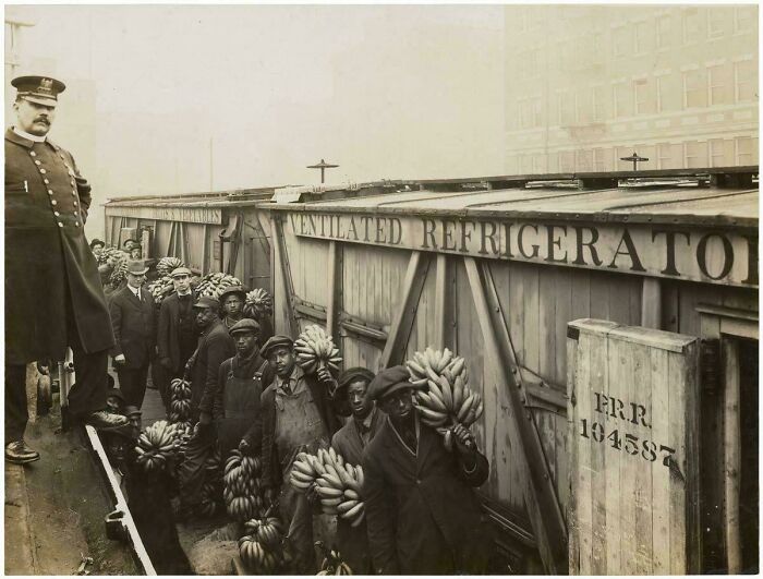“Banana Inspection” - Longshoremen Load And Unload Ships. Working On The Docks Meant Stiff Competition For Employment, An Intense Few Hours Of Dirty, Heavy Labor, Followed By Hours Of Waiting. Ca. 1910 [location Unknown]