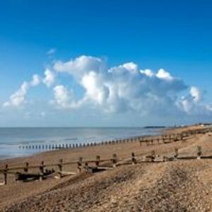 kaywilliams186 avatar