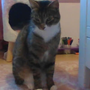 savannahfroelich avatar