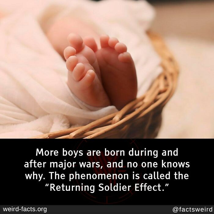 New fun facts about the Returning Soldier Effect explain more boys born during and after major wars with unknown reasons.