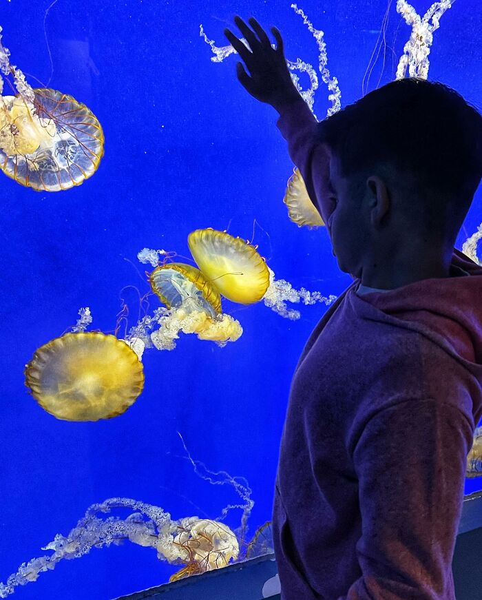 A Race Against Time: A Family's Journey With Their Child's Sanfilippo Syndrome Diagnosis A Race Against Time: A Family's Journey With Their Child's Sanfilippo Syndrome Diagnosis