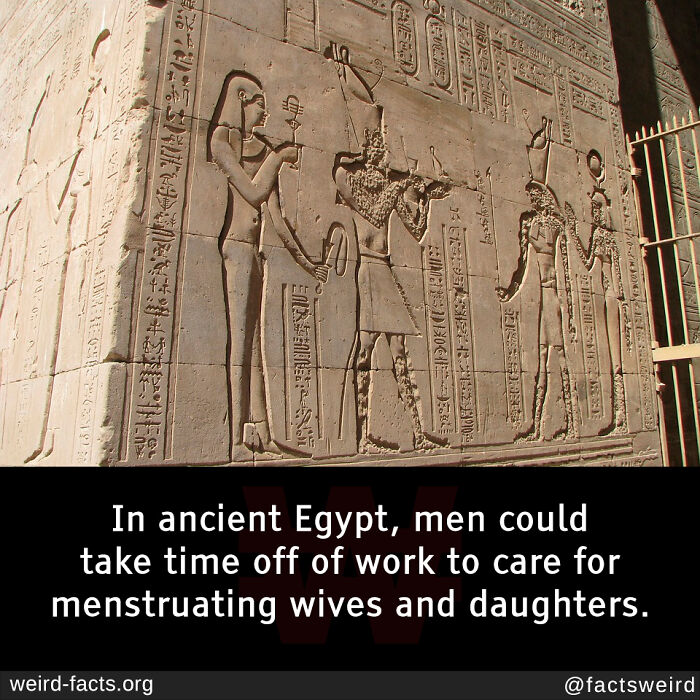 Ancient Egyptian hieroglyphics depicting historical scenes, illustrating fascinating and amusing fun facts about history.