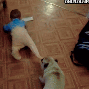 kaidynprescod avatar