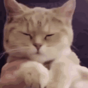 arianahoffman avatar