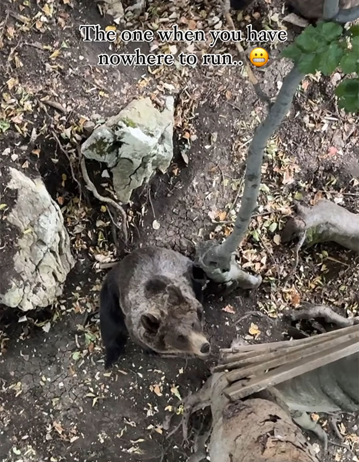 Man Enters Bear Den, Films Terrifying Face-To-Face Encounter When It Comes Home Man Enters Bear Den, Films Terrifying Face-To-Face Encounter When It Comes Home