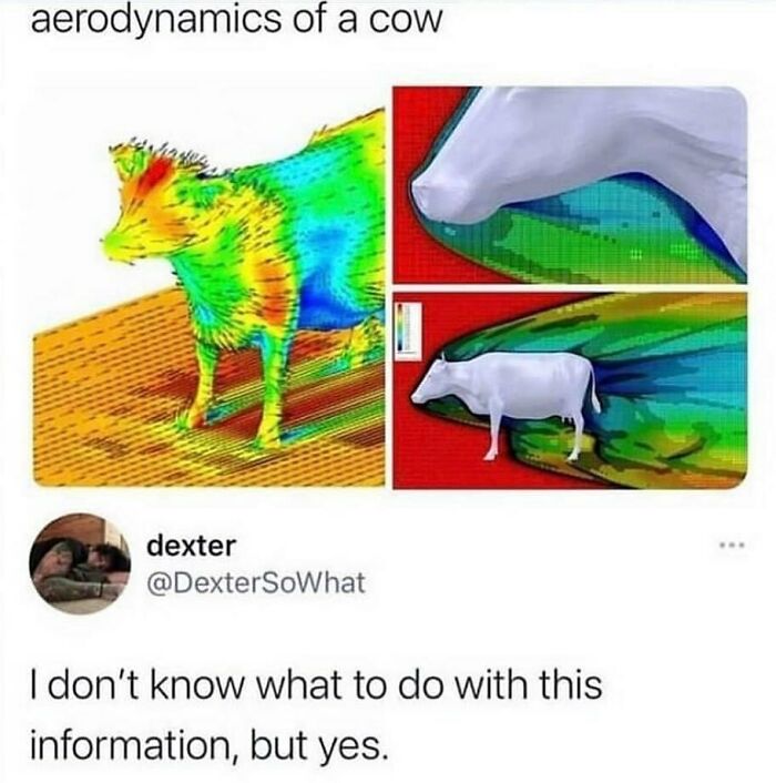 Engineers Are Cracking Up At These 50 Memes That Perfectly Sum Up Their ...
