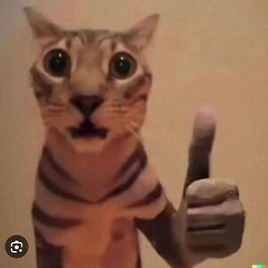 ramisalhab000 avatar