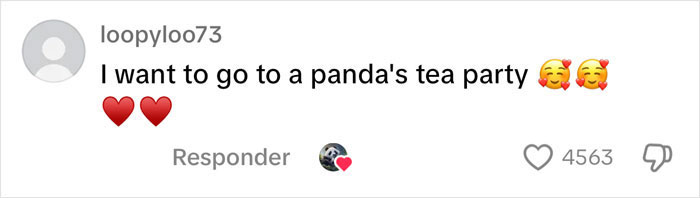 User comment expressing excitement about attending a panda's tea party, with heart and smiling emojis. User comment expressing excitement about attending a panda's tea party, with heart and smiling emojis.